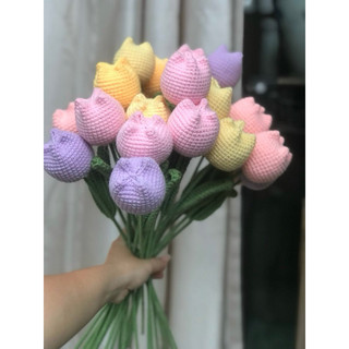 Lẻ một bông hoa tulip béooo