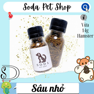 Sâu Nhỏ Rang Cho Hamster