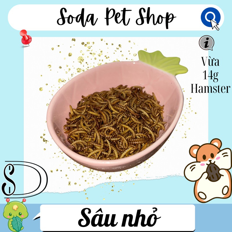 Sâu Nhỏ Rang Cho Hamster