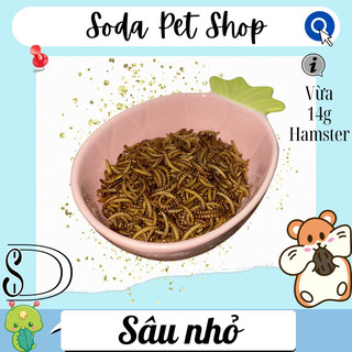 Sâu Nhỏ Rang Cho Hamster