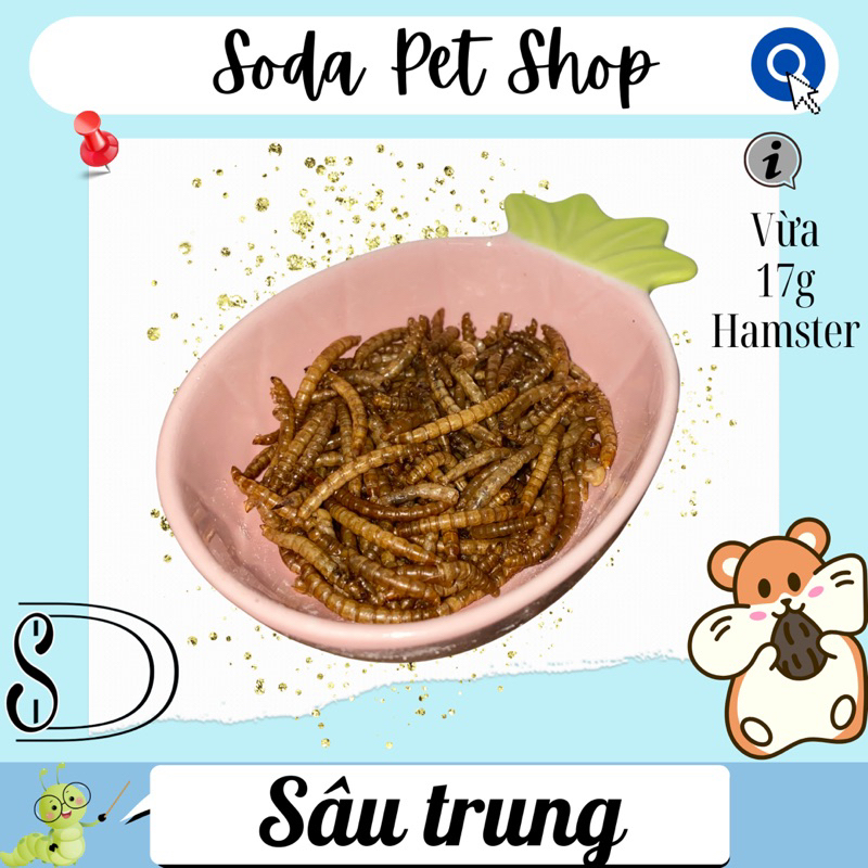 Sâu Trung Rang Cho Hamster