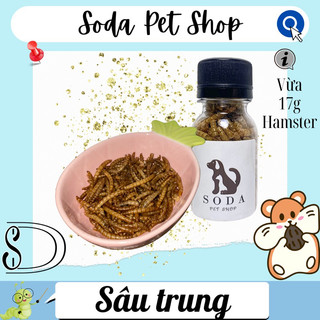 Sâu Trung Rang Cho Hamster