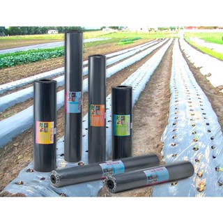  Màng phủ nông nghiệp trồng dưa ớt rau Sài Gòn loại 1 đặc biệt nhiều kích thước cuộn dài 400m 16mic 