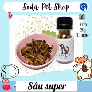 Sâu Rang Super Cho Hamster