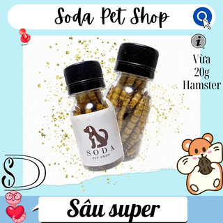 Sâu Rang Super Cho Hamster
