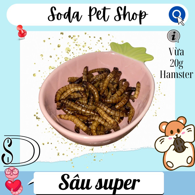 Sâu Rang Super Cho Hamster