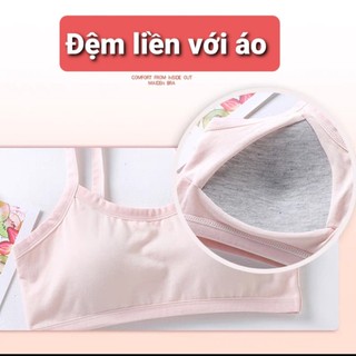Áo chip có đệm liền cho bé gái bra nữ sinh có mút freesize 30-42kg