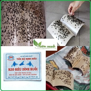 Set 10 tấm keo siêu dính ruồi, gián