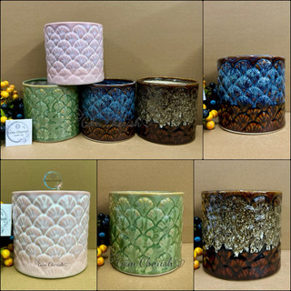 Chậu trồng cây cảnh (11x12cm) sen đá xương rồng, dáng trụ lá tùng