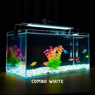 Bể cá mini để bàn 40x20x20cm nhiều mẫu phù hợp nuôi cá cảnh mini nhỏ nhỏ để bàn
