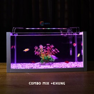 Bể cá mini 40cm COMBO đầy đủ CHỌN MẪU phù hợp nuôi cá cảnh mini để bàn