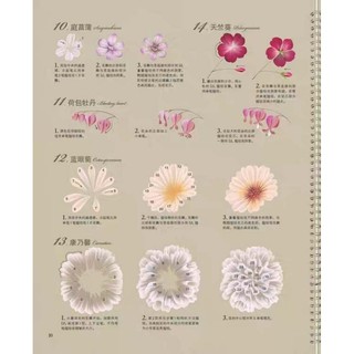 Vẽ hoa lá decor 4 mùa  siêu xinh