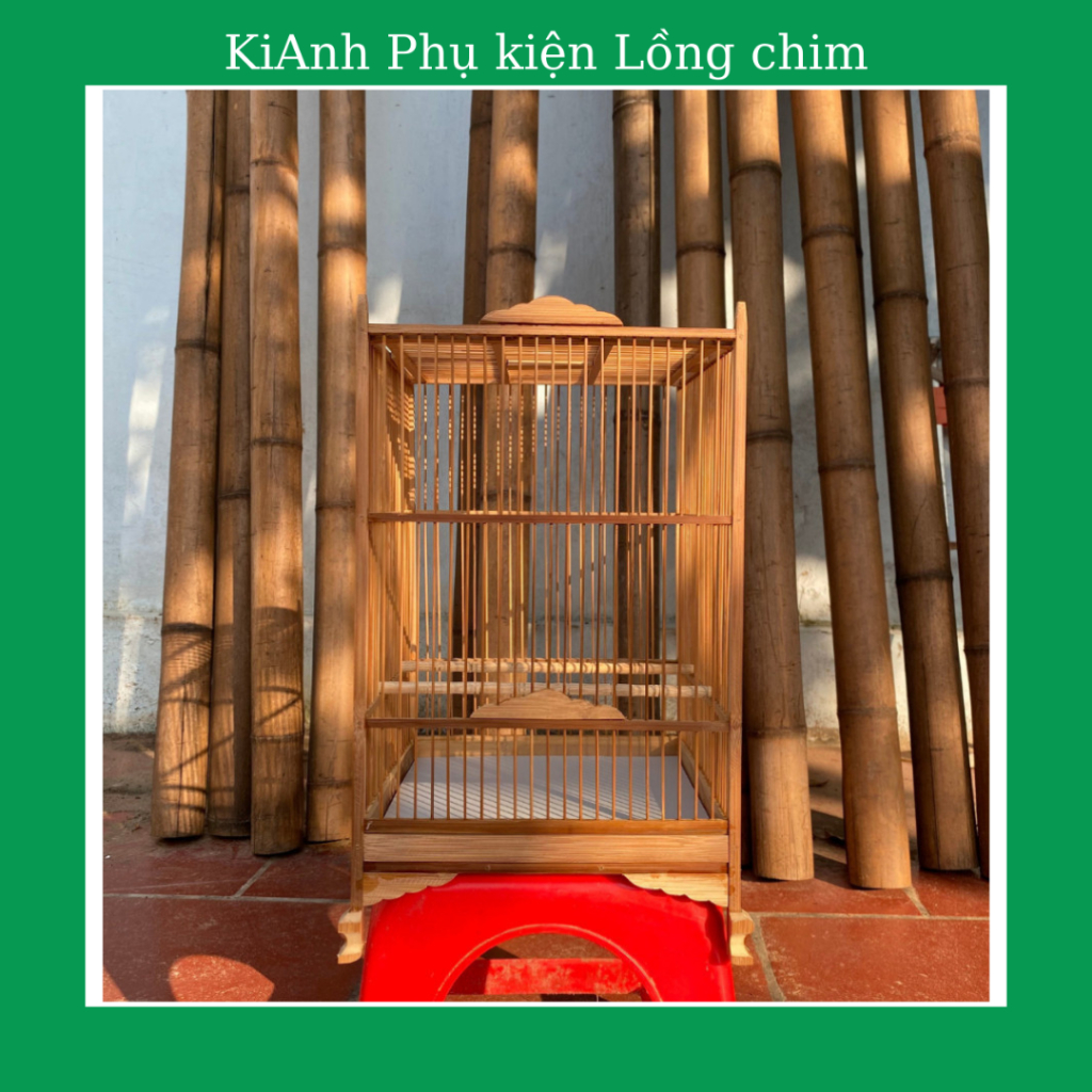 Khung lồng chim khuyên, hút mật TAMINO - khung lồng chim khuyên, hút mật tự ráp hàng loại 1 tặng kèm móc nậm