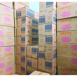Xốp cắm hoa Lotus