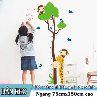 Decal dán tường Thước đo hươu cao cổ và khỉ