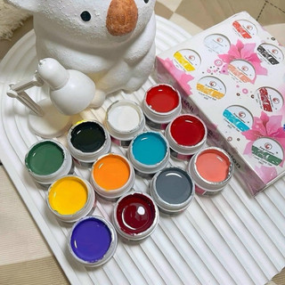 Set gel vẽ Fengshangmei 12 màu - gel vẽ chất đặc lên màu chuẩn dành cho nail