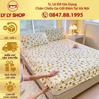 Bộ chăn ga gối 3 Món Cotton đũi dệt bông xơ đậu lành ga gối trần bông đũi cotton, kèm 2 vỏ gối