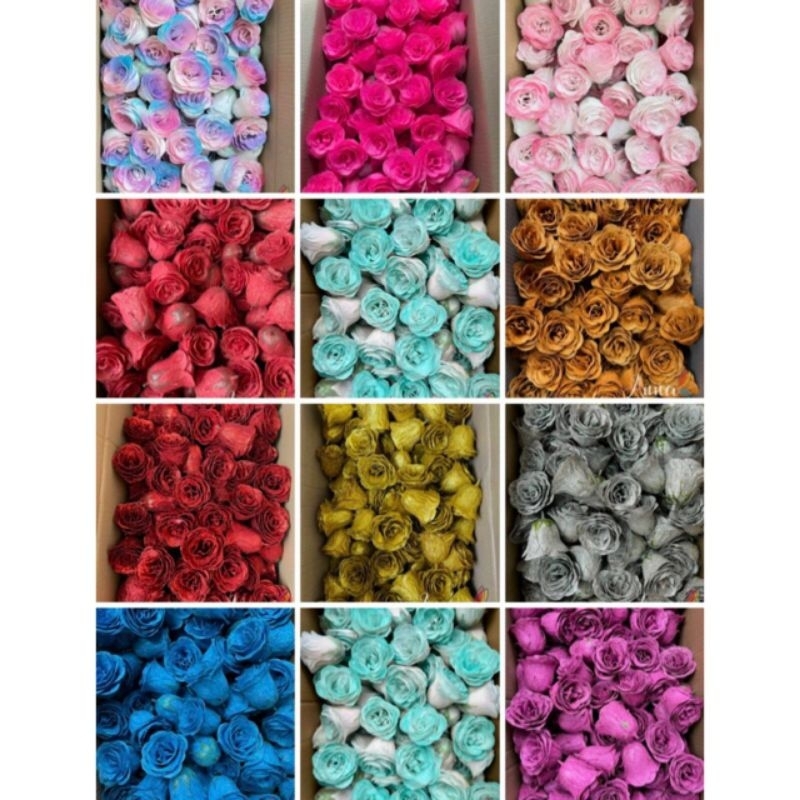 Hoa hồng nhũ galaxy combo 10 bông hồng nhũ galaxy kim tuyến giá rẻ