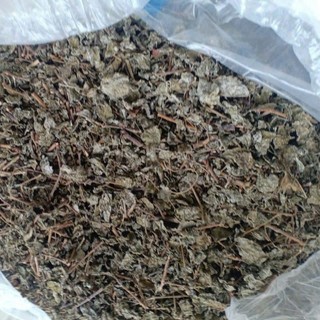 1kg chè dây rừng