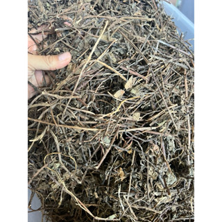 Dây sương sáo nấu sâm lạnh, dùng nấu nước uống mát