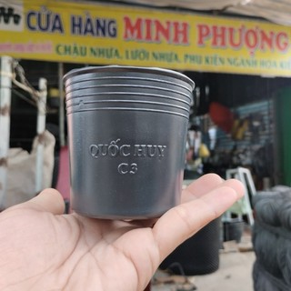 Chậu nhựa đen C3 (500 cái)
