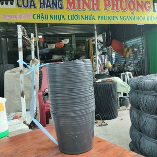 Chậu nhựa đen C7 lớn (500 cái)