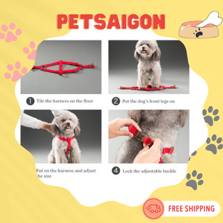 DÂY DẮT YẾM DÙ XOẮN CHO CHÓ MÈO