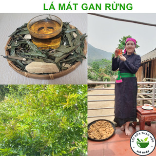 Lá mát gan rừng già huân thuần vị không trộn phơi khô hàng loại 1, gồm lá và thân cây mát gan giúp bảo vệ gan