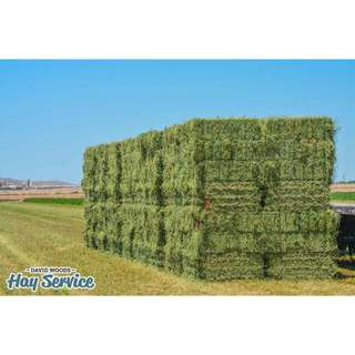 3kg cỏ Alfalfa dành cho thú nhỏ