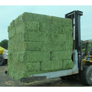 3kg cỏ Alfalfa dành cho thú nhỏ