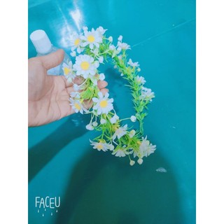 vòng đội đầu hoa cúc hoạ mi