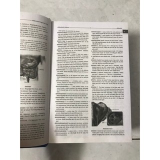Sách - Từ Điển Y Học Anh - Việt (English - Vietnamese Medical Dictionary)