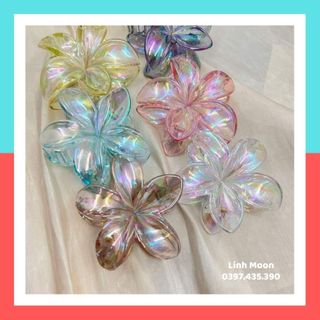 Kẹp hoa sứ hologram 8cm phong cách hàn quốc hot trend