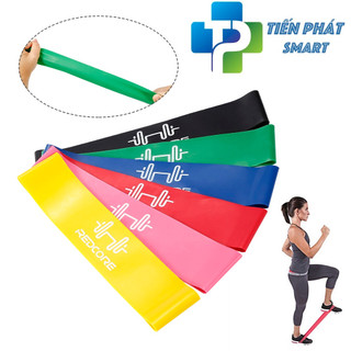 Dây mini band phụ kiện tập gym(Recoder)