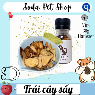 Trái Cây Sấy Cho Hamster
