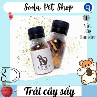 Trái Cây Sấy Cho Hamster