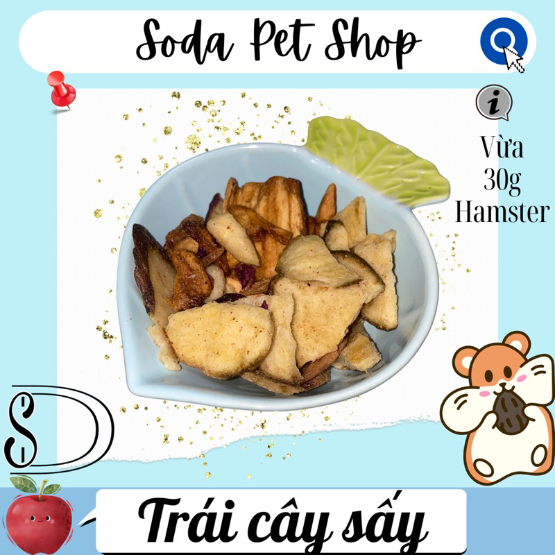 Trái Cây Sấy Cho Hamster