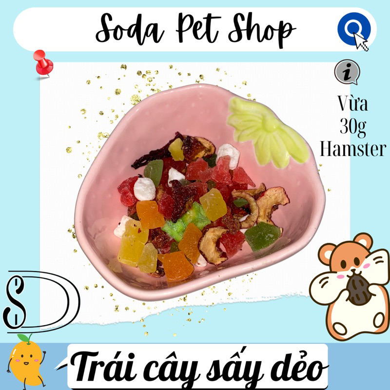Trái Cây Sấy Dẻo Cho Hamster