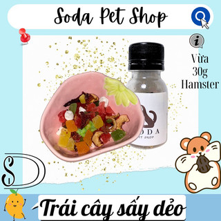 Trái Cây Sấy Dẻo Cho Hamster