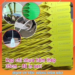 Gói 50 Dây Kẹp Chì Nhựa Niêm Phong Khóa Hãm Thép Dài 18cm/ 25cm/ 35cm, có số seri, niêm xe tải, cửa kho