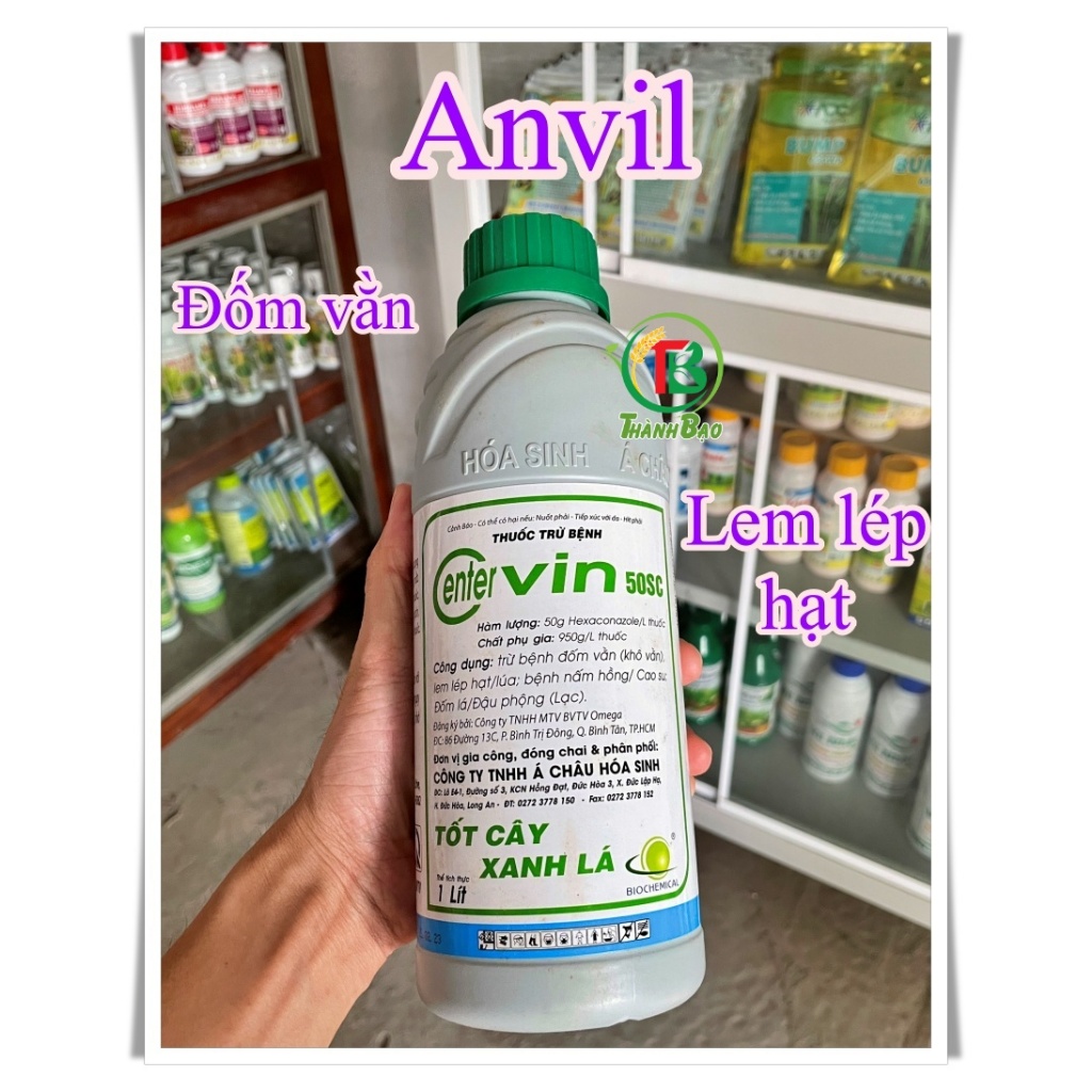 Anvil Á châu 𝐂𝐞𝐧𝐭𝐞𝐫 𝐕𝐈𝐍 50SC 1L - Đốm vằn, lem lép