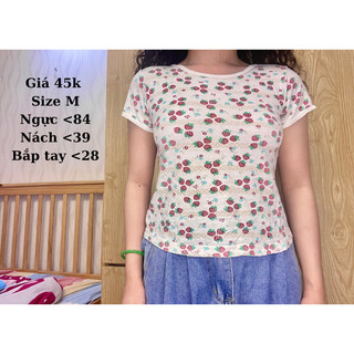 Áo baby tee 2hand