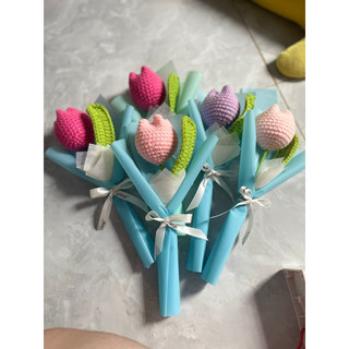 tulip len🌷🌷
