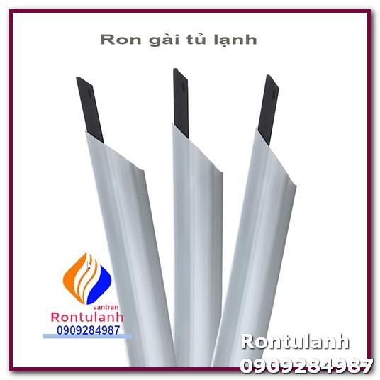 Ron cửa cho tủ lạnh samsung Model RT20HAR8DSA