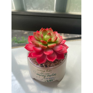 Sen đá hồng size 9cm làm bằng đất sét