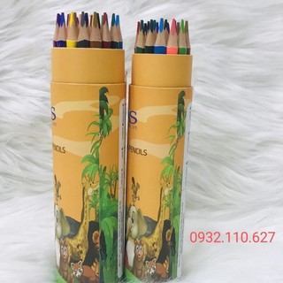 Chì màu gỗ 24M
