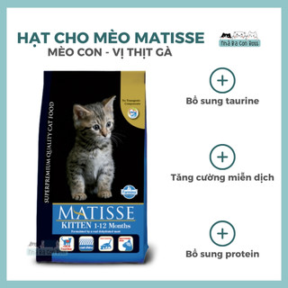 Hạt Cho Mèo Con Matisse