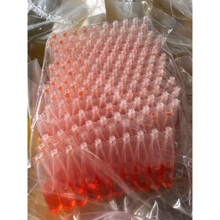 Ống dẫn dụ ruồi vàng đục trái 2ml