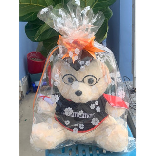 Gấu tốt nghiệp có chữ
