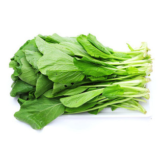 Hạt giống rau cải ngọt 20gr